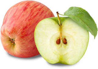 Obstlexikon Apfel