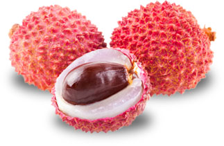 Obstlexikon Lychee - Litschi