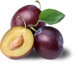 Obstlexikon Pflaume