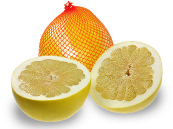 Obstlexikon Pomelo