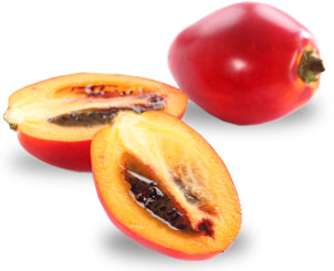 Obstlexikon Tamarillo